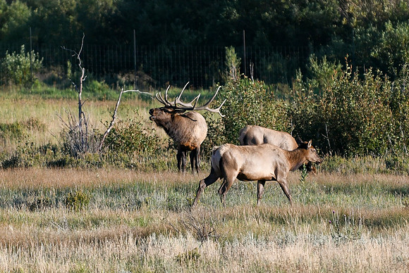 DSC_1192_edited