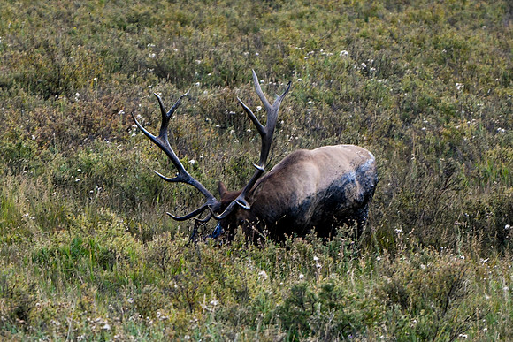 DSC_1235_edited