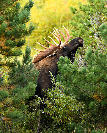 DSC_2832_edited-MXK - 2026/09/06