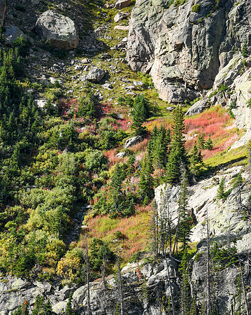 DSC_0567_edited-8x10