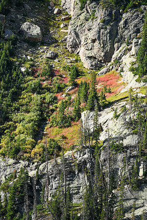 DSC_0567_edited