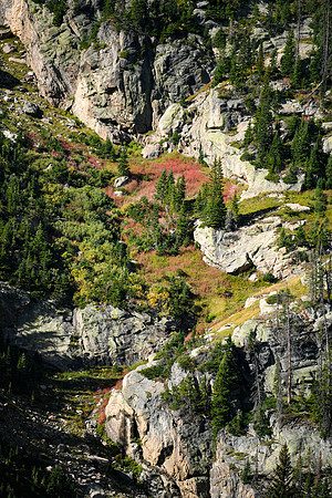 DSC_0564_edited