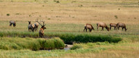 DSC_9405_edited-wide - 2026/09/05