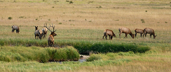 DSC_9405_edited-wide - 2026/09/05