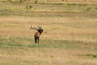 DSC_9417_edited - 2026/09/05