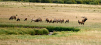 DSC_9422_edited-wide - 2026/09/05