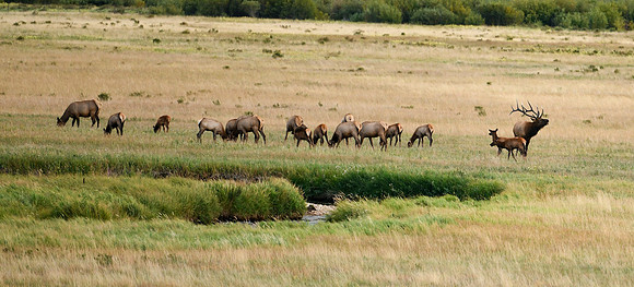 DSC_9422_edited-wide - 2026/09/05