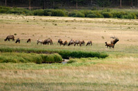 DSC_9422_edited - 2026/09/05