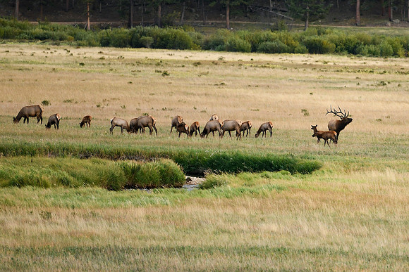 DSC_9422_edited - 2026/09/05