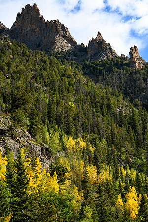DSC_0407_edited