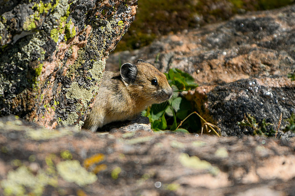 DSC_1034_edited