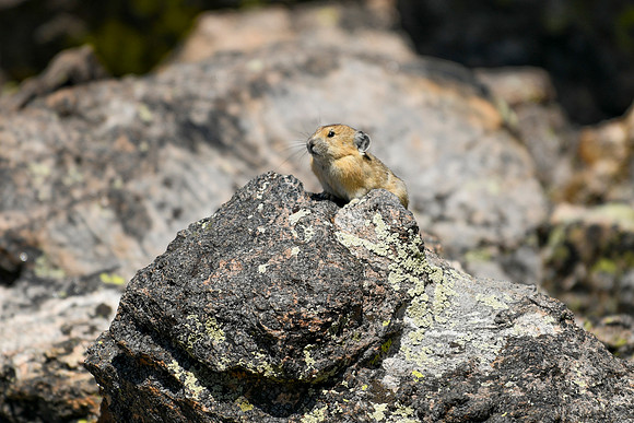 DSC_1024_edited
