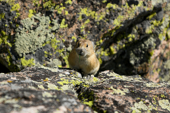 DSC_1044_edited