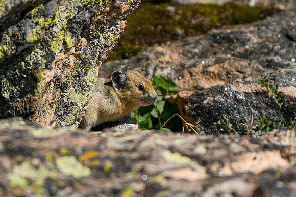 DSC_1034_edited-1