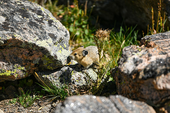 DSC_1049_edited