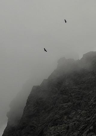 DSC_8260_edited
