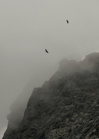 DSC_8260_edited-1