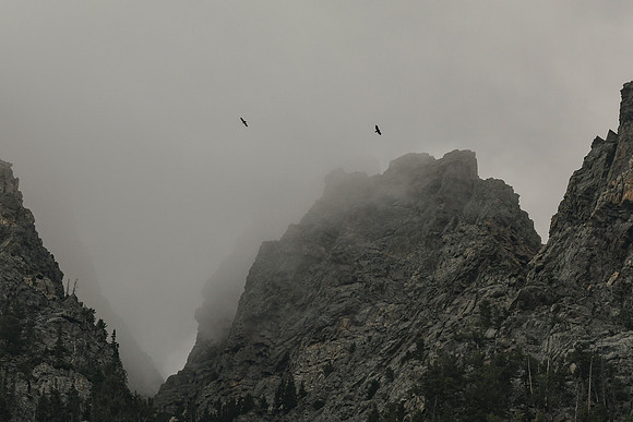 DSC_8264_edited