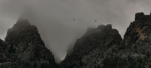 DSC_8264_edited-2
