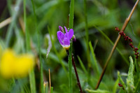 DSC_0039_edited
