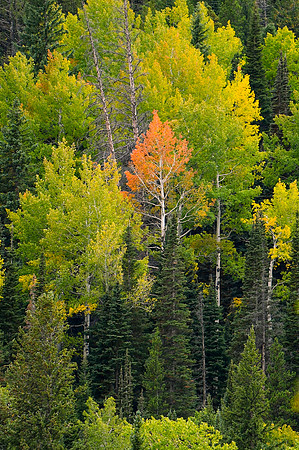 DSC_4004_edited