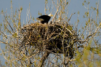 DSC_5819_edited-1
