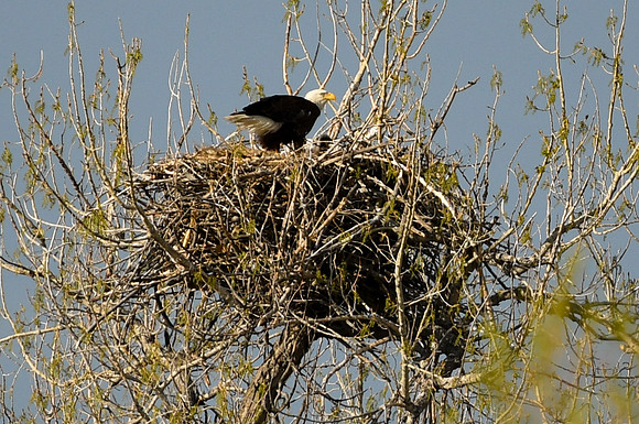 DSC_5819_edited-1