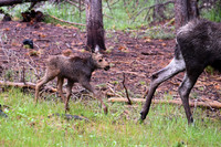 DSC_0940_edited