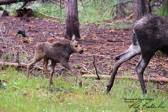 DSC_0940_edited