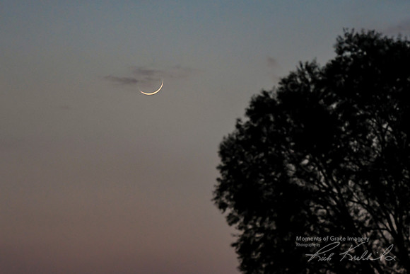 DSC_8922_edited - Waxing Crescent moon at dusk