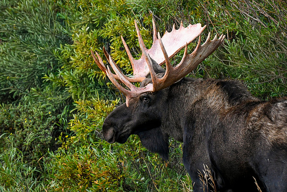 DSC_2601_edited-2 - MXK
