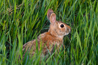 DSC_8492_edited