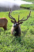 DSC_1603_edited