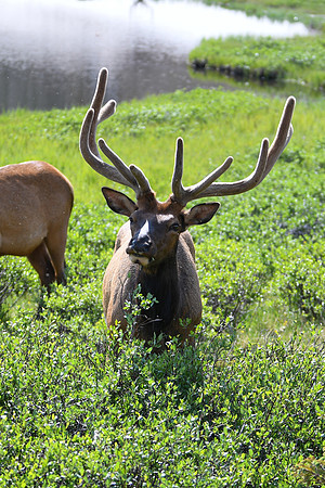 DSC_1603_edited