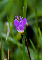 DSC_0039_edited_edited