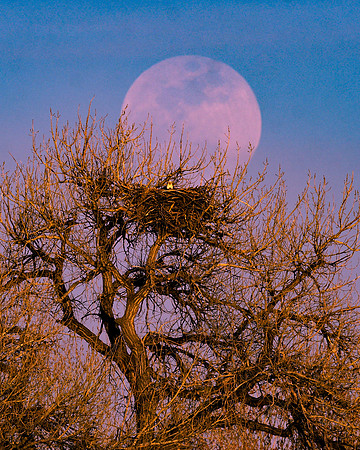 DSC_4326_edited-1_edited-1
