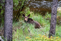 DSC_0859_edited