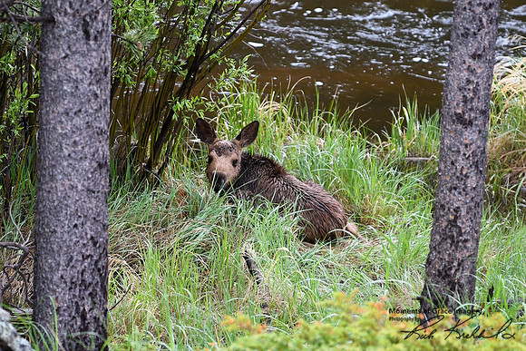 DSC_0859_edited