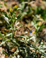 DSC_3959_edited