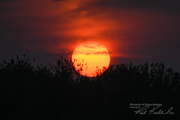 DSC_8698_edited - Sunset