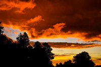 DSC_2345_edited
