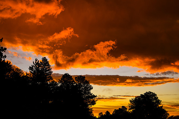 DSC_2345_edited