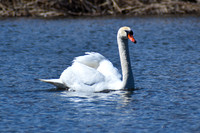 DSC_0738_edited