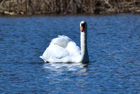 DSC_0735_edited