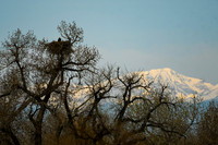 DSC_4594_edited