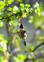 16 - DSC_9376_edited