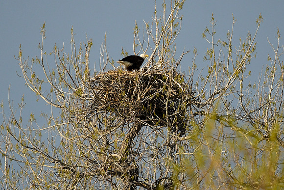 DSC_5819_edited