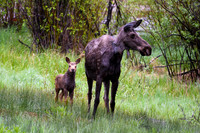 DSC_0909_edited