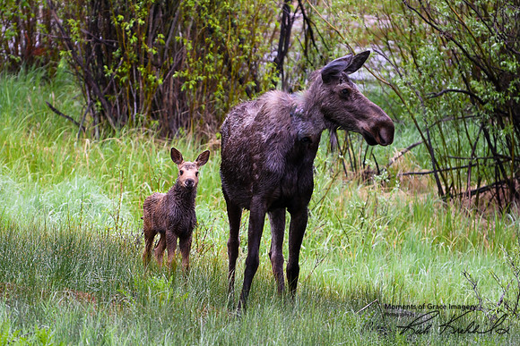 DSC_0909_edited