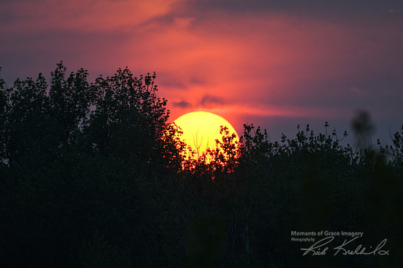 DSC_8705_edited - Sunset